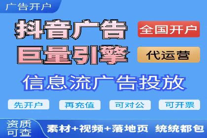 SEO百度推广策略：成功案例解析